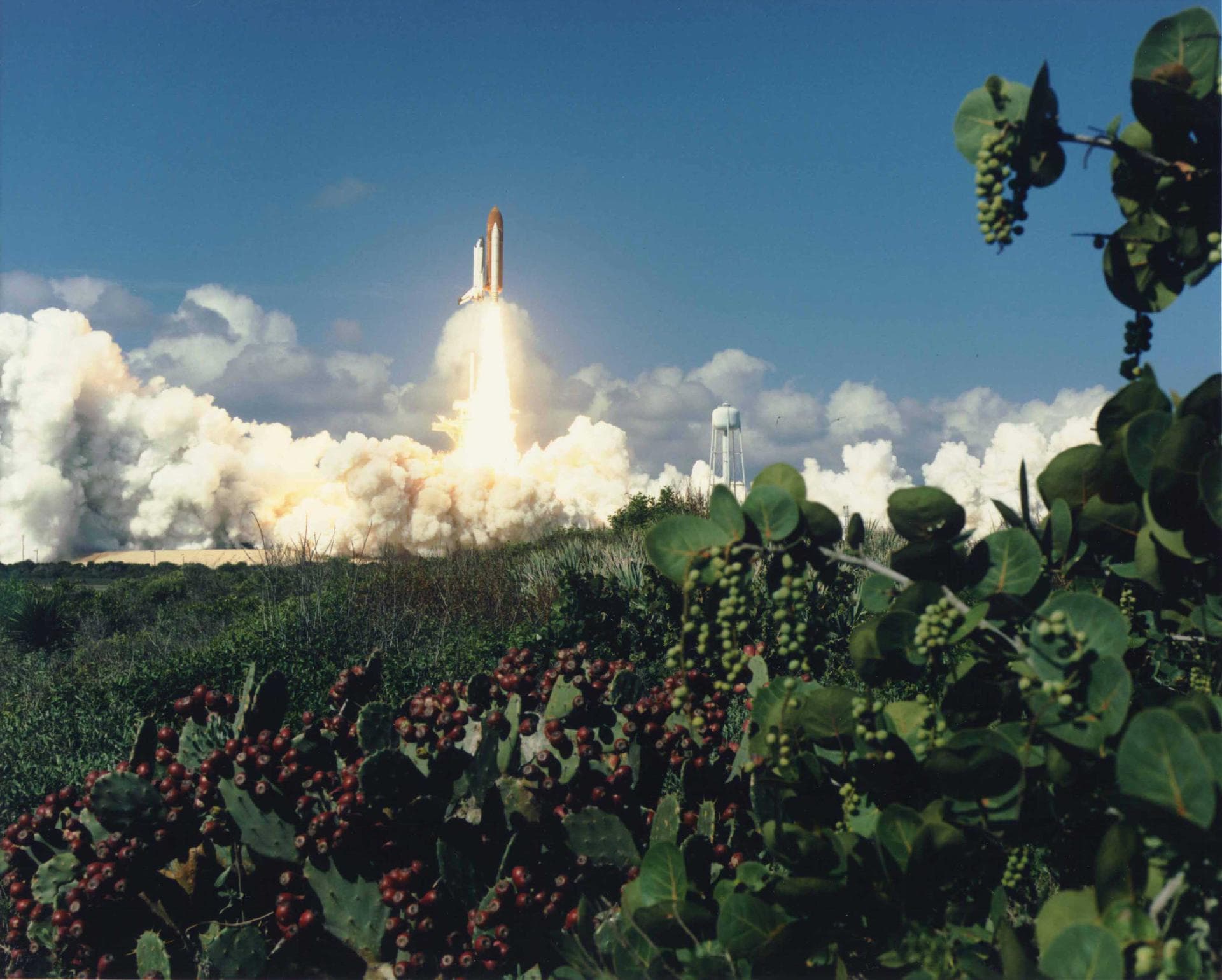KENNEDY SPACE CENTER, FLA. - The Space Shuttle Columbia climbs a golden tower into a royal blue sky dusted with clouds. The 58th Shuttle flight lifted off from Launch Pad 39B at 10:53:10 a.m. EDT, be