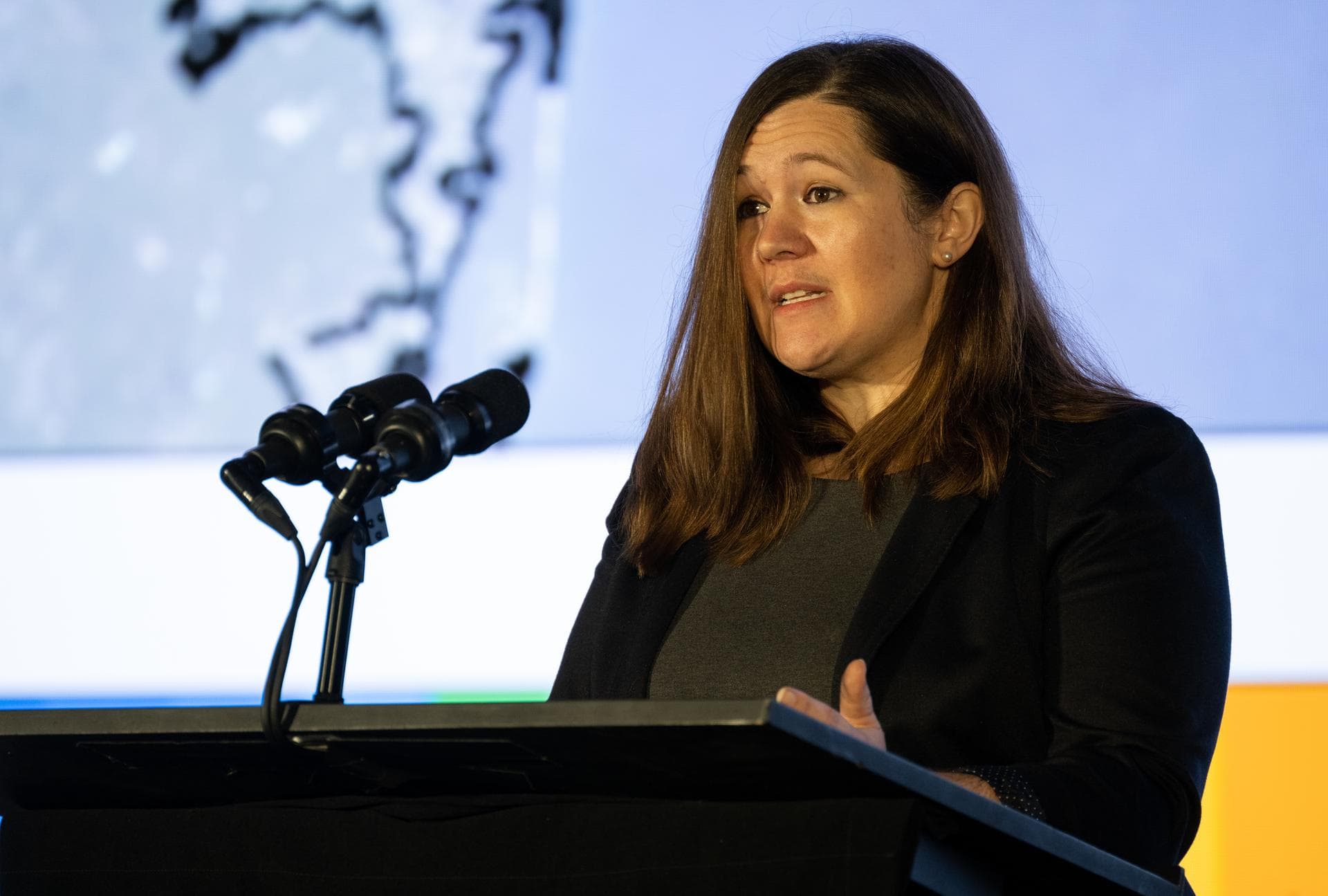 Erika Wright, education specialist at the Center for Astrophysics | Harvard & Smithsonian, speaks during a briefing on NASA’s TEMPO (Tropospheric Emissions: Monitoring of Pollution) instrument, Tuesda