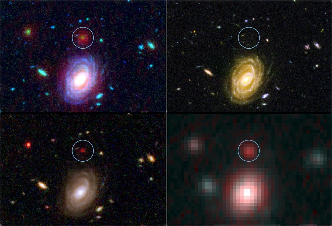 This image demonstrates how data from two of NASA Great Observatories, the Spitzer and Hubble Space Telescopes, are used to identify one of the most distant galaxies ever seen. This galaxy is named na