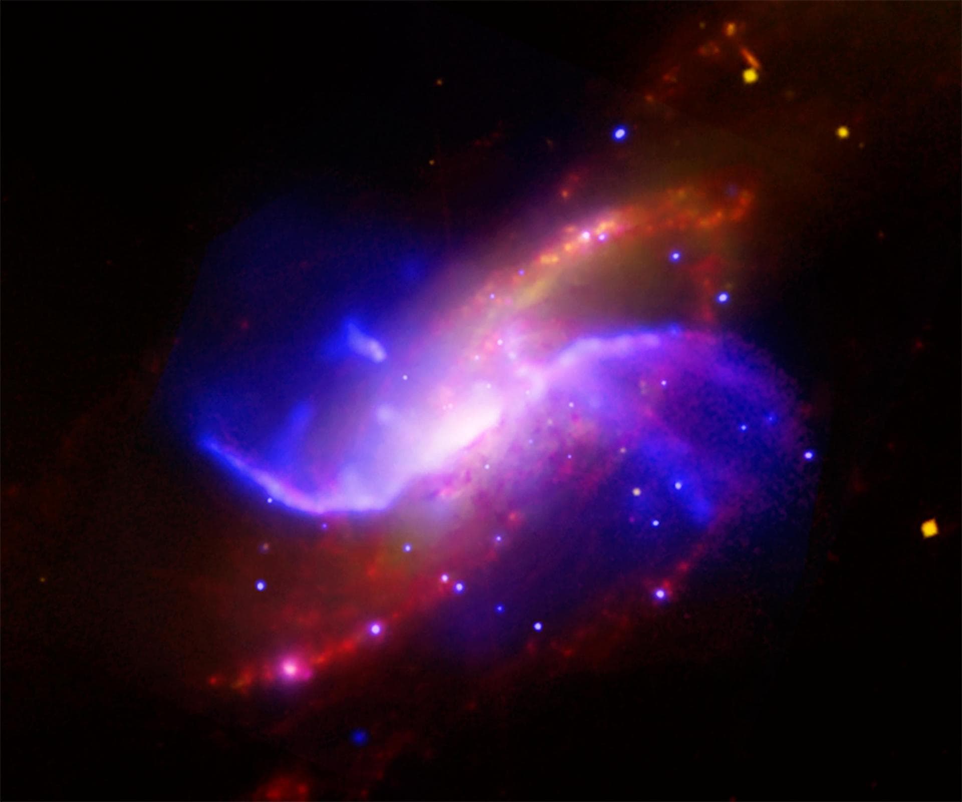 This composite image is of spiral galaxy M106 NGC 4258; optical data from the Digitized Sky Survey is yellow, radio data from the Very Large Array is purple, X-ray data from Chandra is blue, and infra