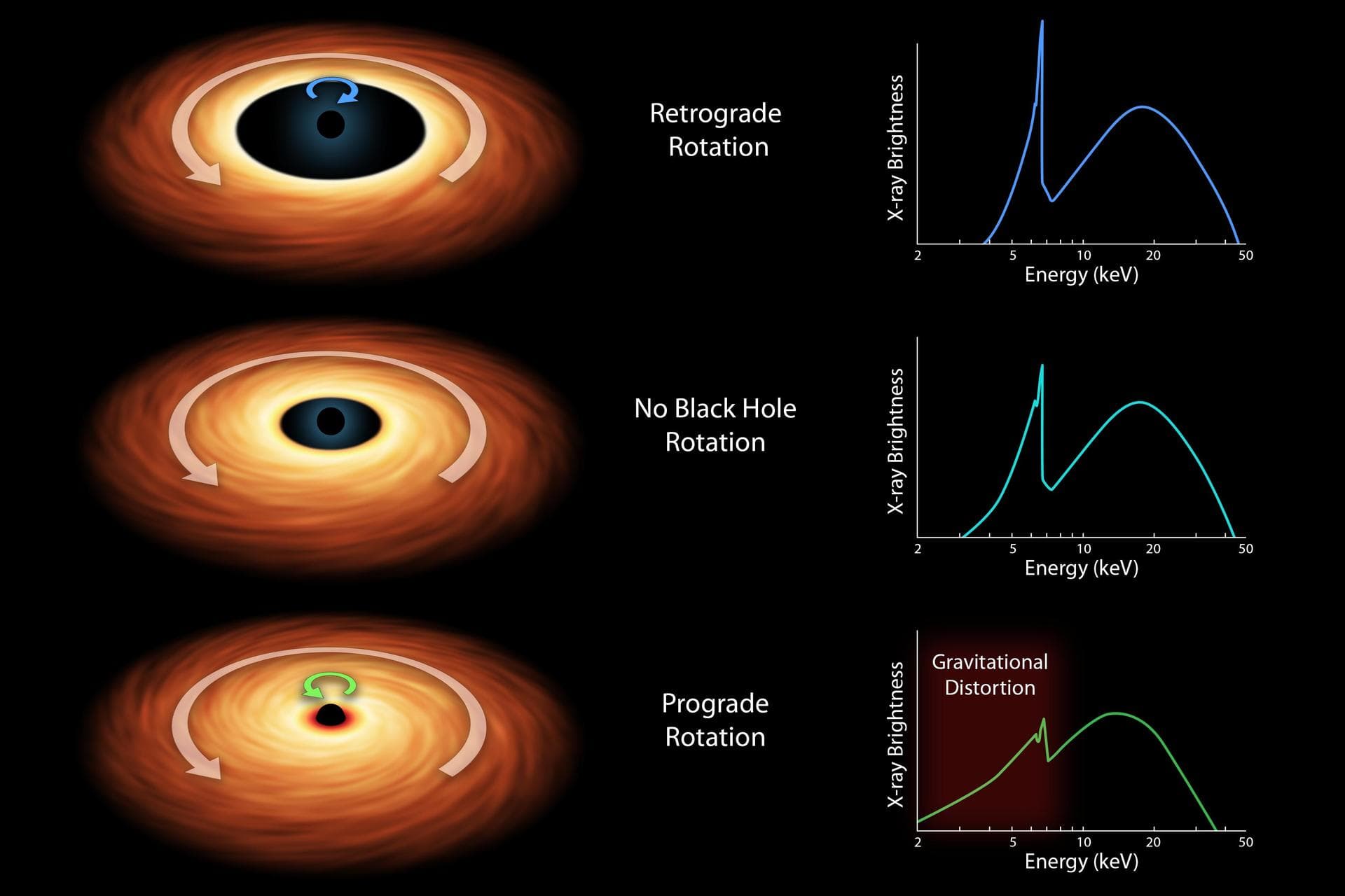 Black holes are tremendous objects whose immense gravity can distort and twist space-time, the fabric that shapes our universe as this chart from NASA NuSTAR and ESA XMM-Newton telescope illustrates.
