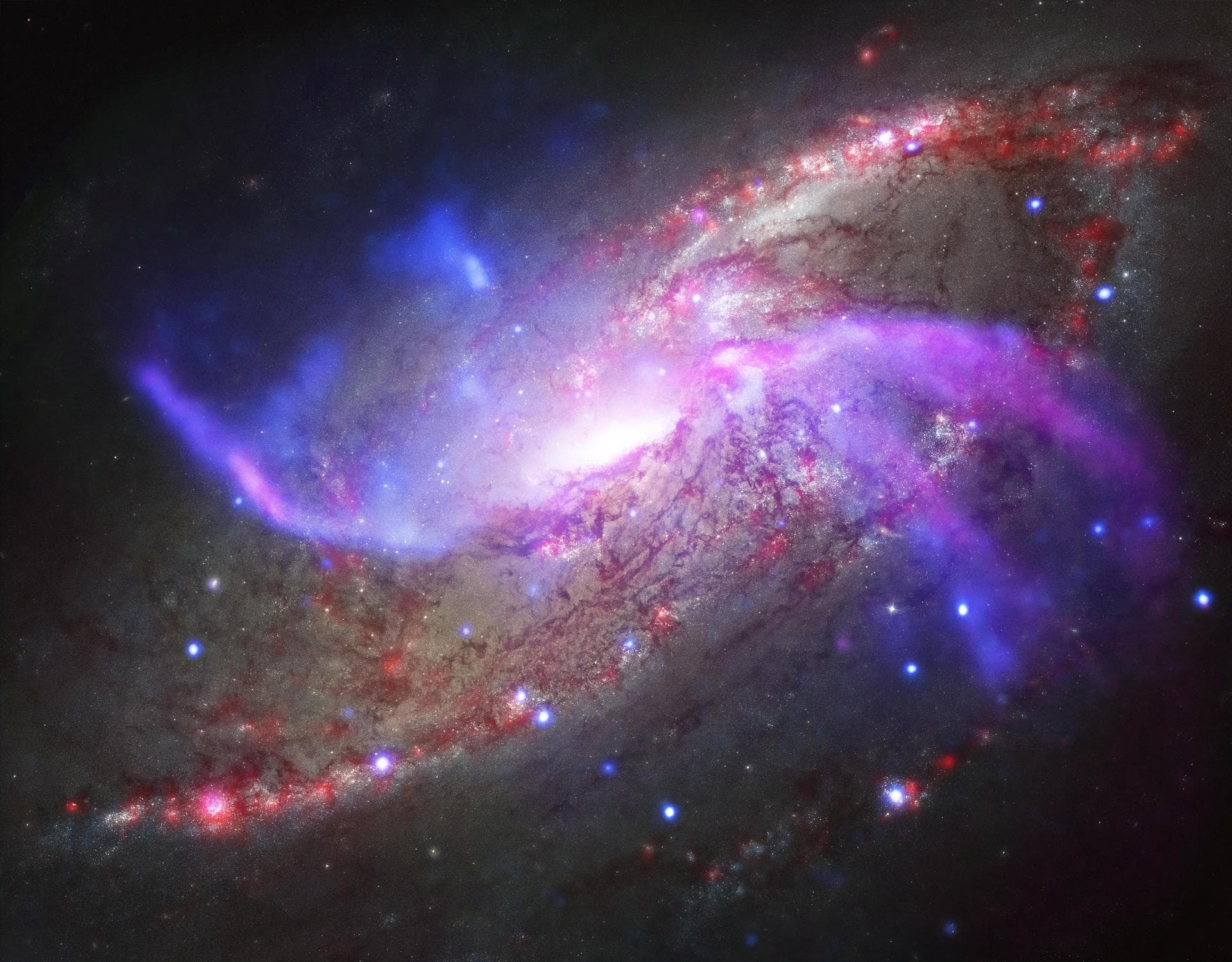 Anomalous arms are seen in this composite image of NGC 4258 from NASA Chandra X-ray Observator, NSF Karl Jansky Very Large Array, NASA Hubble Space Telescope and Spitzer Space Telescope.