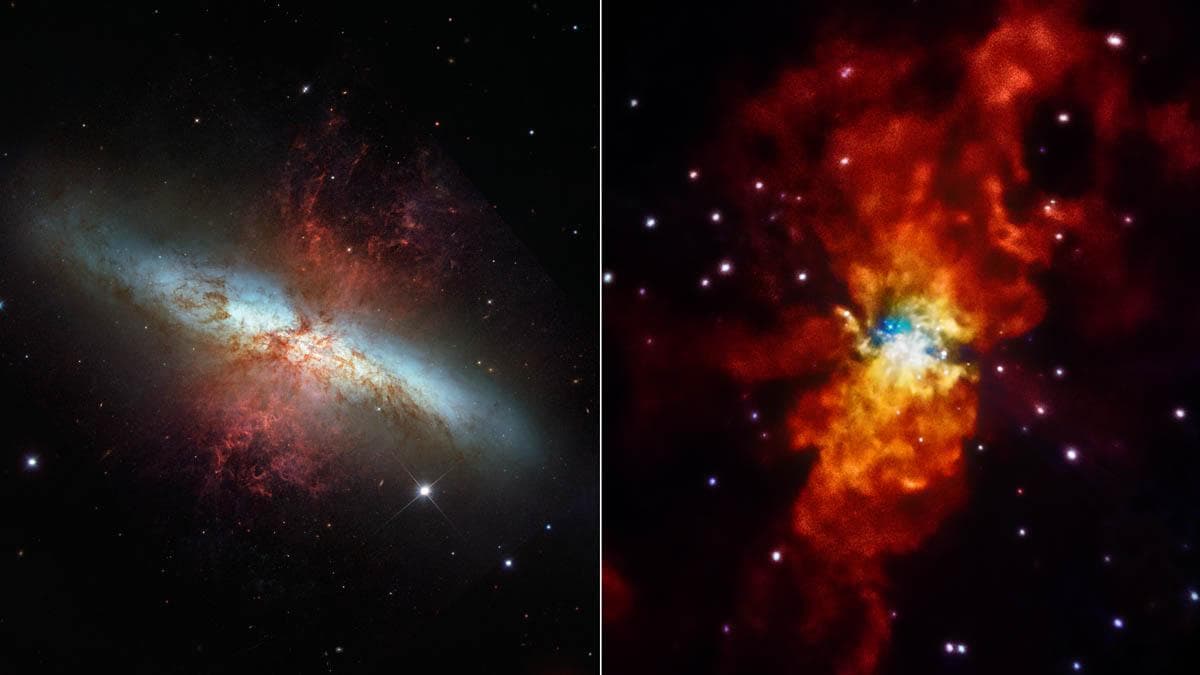 The comparison from NASA Hubble telescope and Chandra X-ray Observatory highlights how different the universe can look when viewed in other wavelengths of light. M82 is located 12 million light-years 