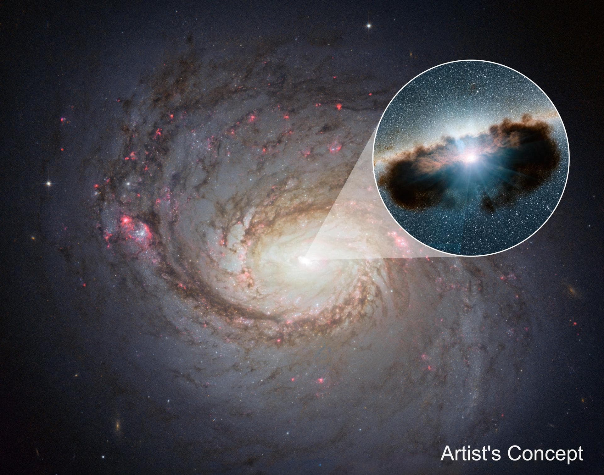 Galaxy NGC 1068 can be seen in close-up in this view from NASA's Hubble Space Telescope. NuSTAR's high-energy X-rays eyes were able to obtain the best view yet into the hidden lair of the galaxy's cen