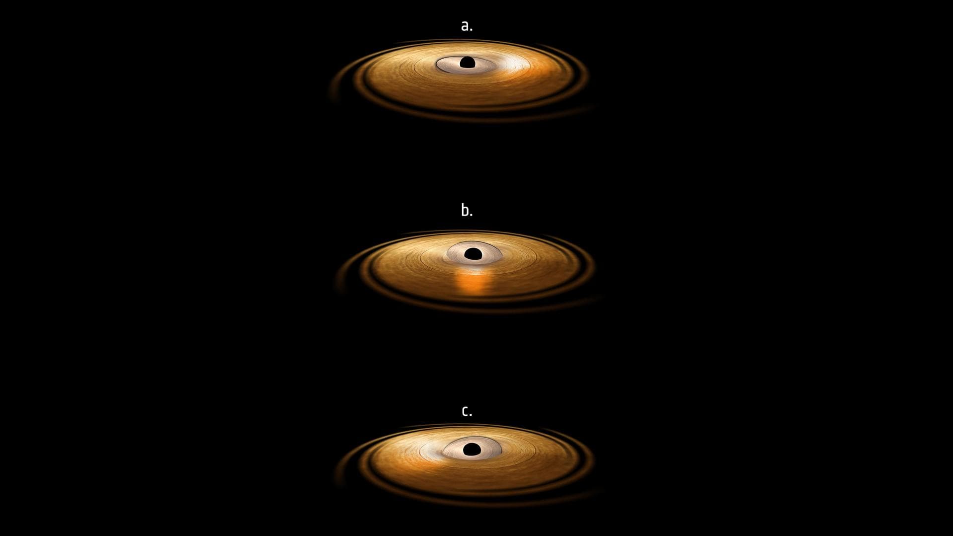 This artist's impression depicts the accretion disc surrounding a black hole, in which the inner region of the disc precesses. "Precession" means that the orbit of material surrounding the black hole