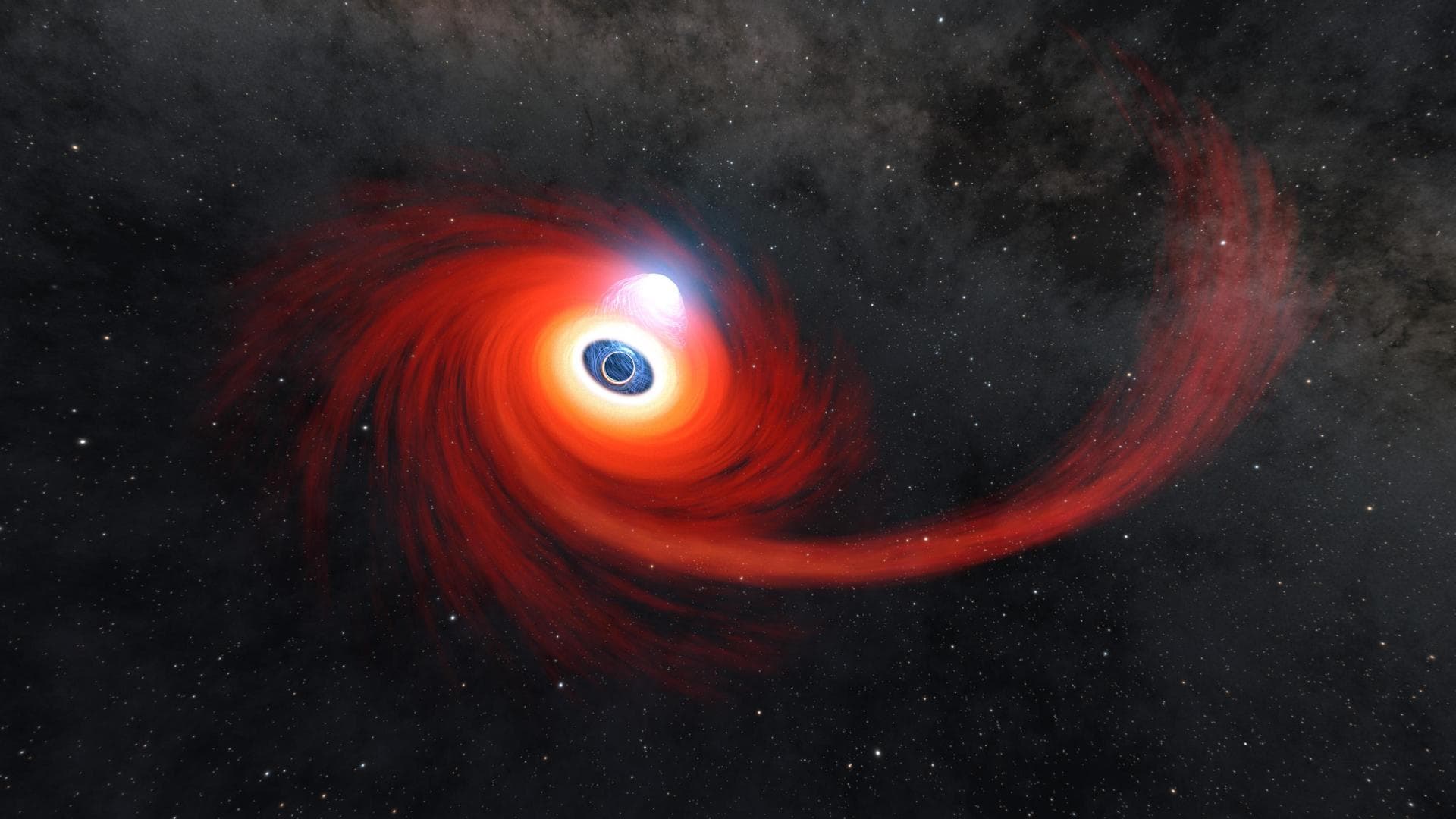 A disk of hot gas swirls around a black hole in this illustration. Some of the gas came from a star that was pulled apart by the black hole, forming the long stream of hot gas on the right, feeding in