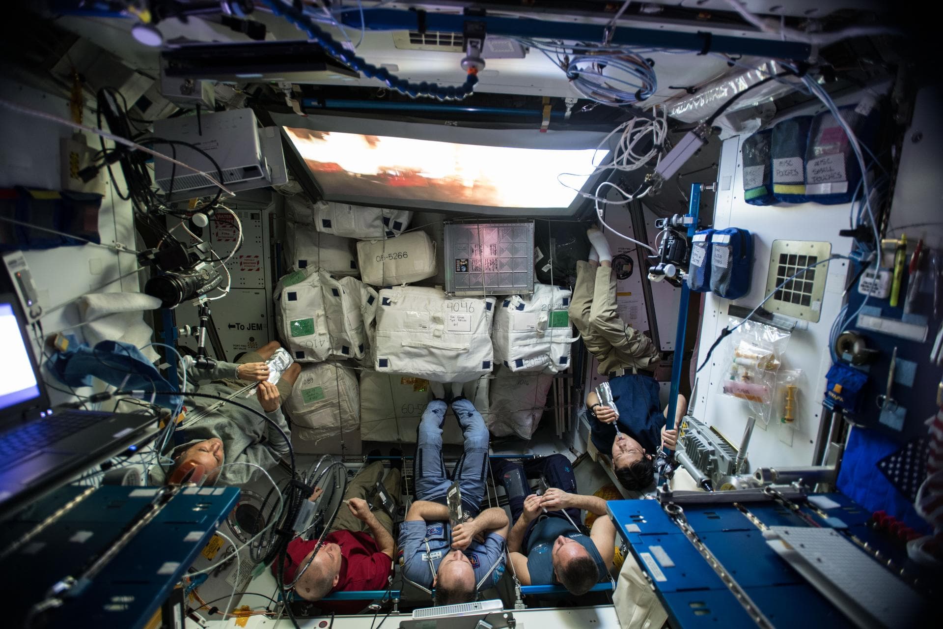 iss054e004175 (Dec. 23, 2017) --- Expedition 54 crew members watch the movie "Star Wars: The Last Jedi" on the big screen in the Harmony module. From left, are Flight Engineers Joe Acaba and Scott Tin