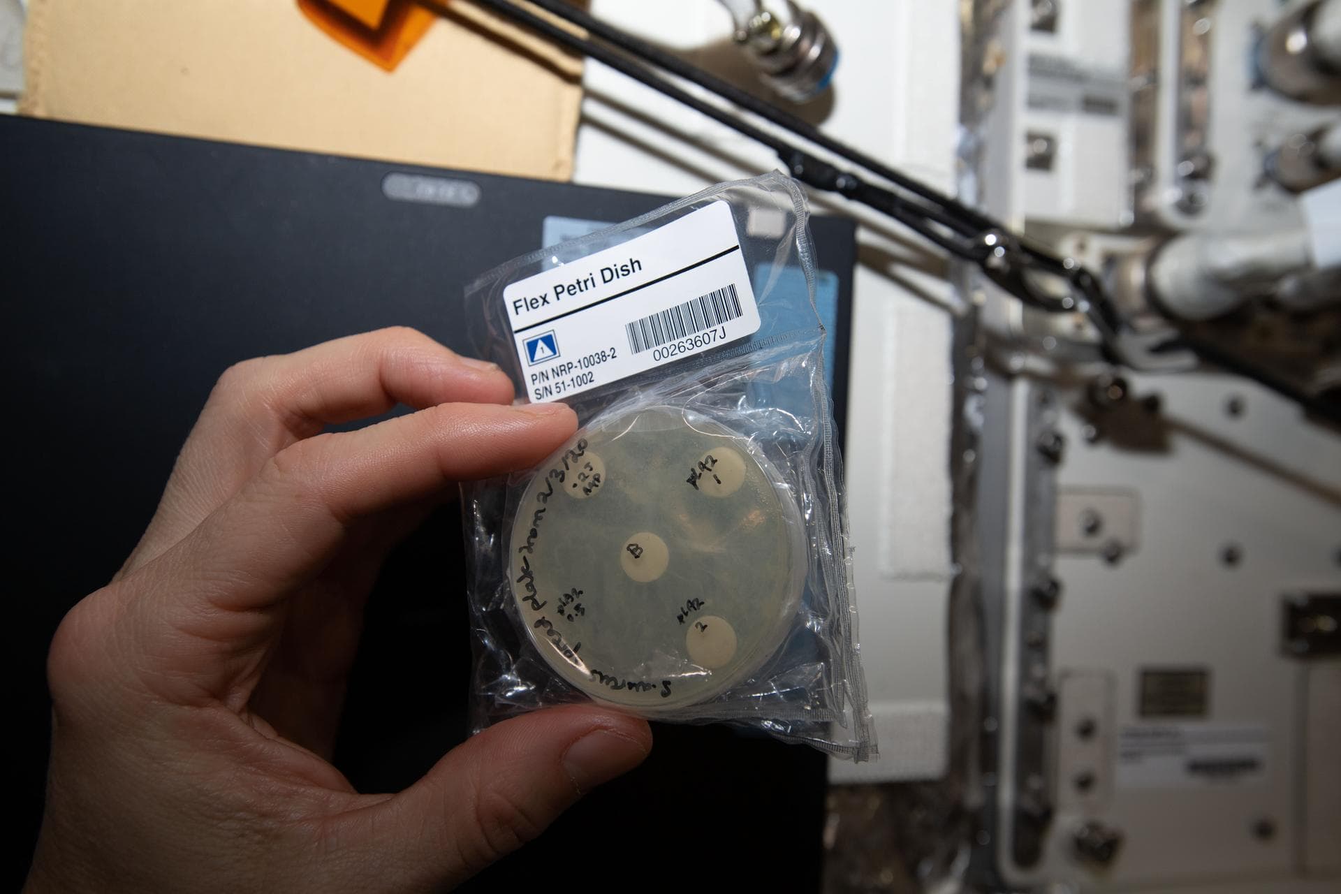 iss062e098352 (3/17/2020) --- A View of the ISSET-Nanoracks-Mission Discovery 4 investigation aboard the International Space Station (ISS). The Antibacterial properties of Phospholipase A2 (PLA2; bee 