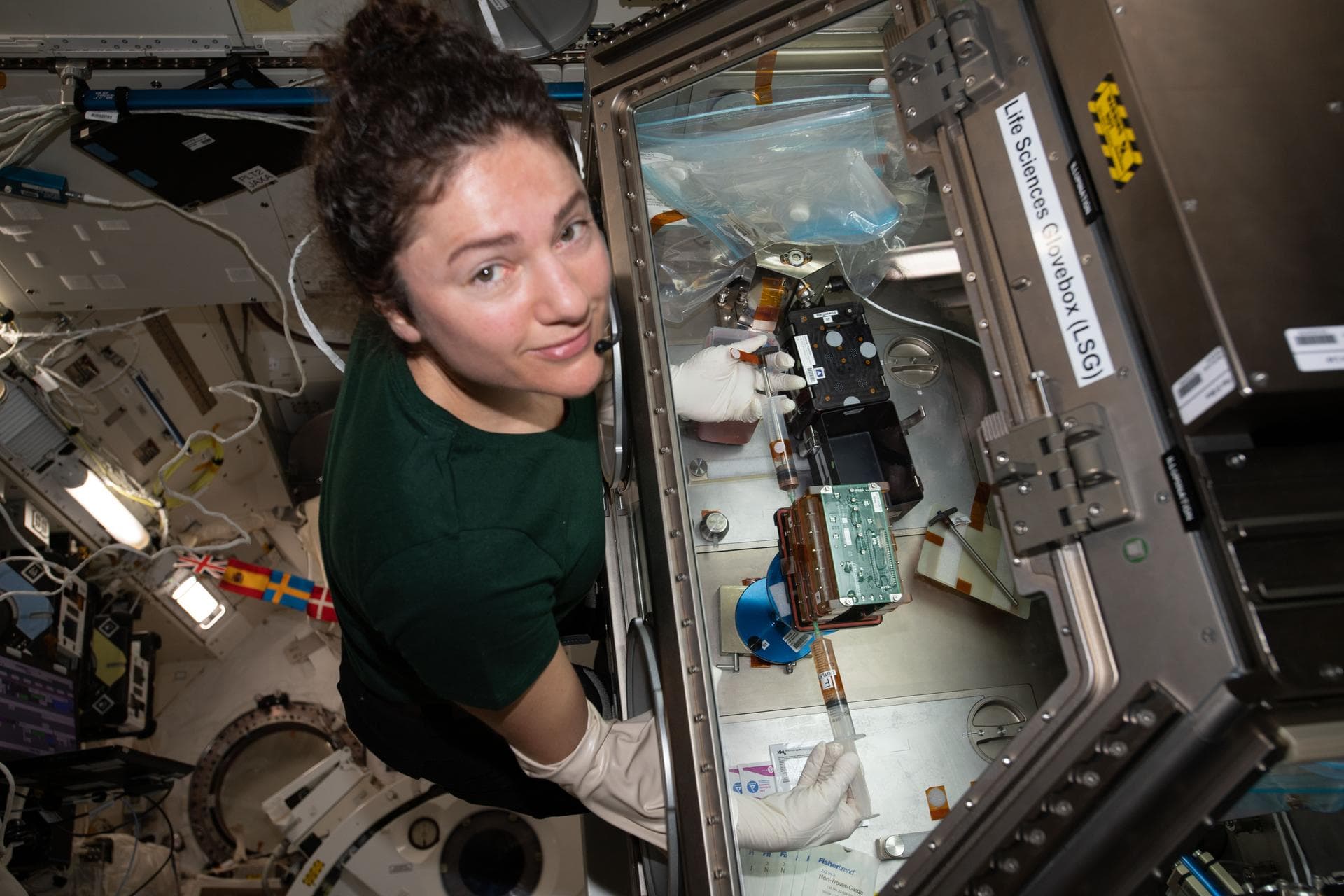 iss062e115343 (March 26, 2020) --- NASA astronaut and Expedition 62 Flight Engineer Jessica Meir conducts cardiac research inside the Life Sciences Glovebox, a biology research facility located in Jap