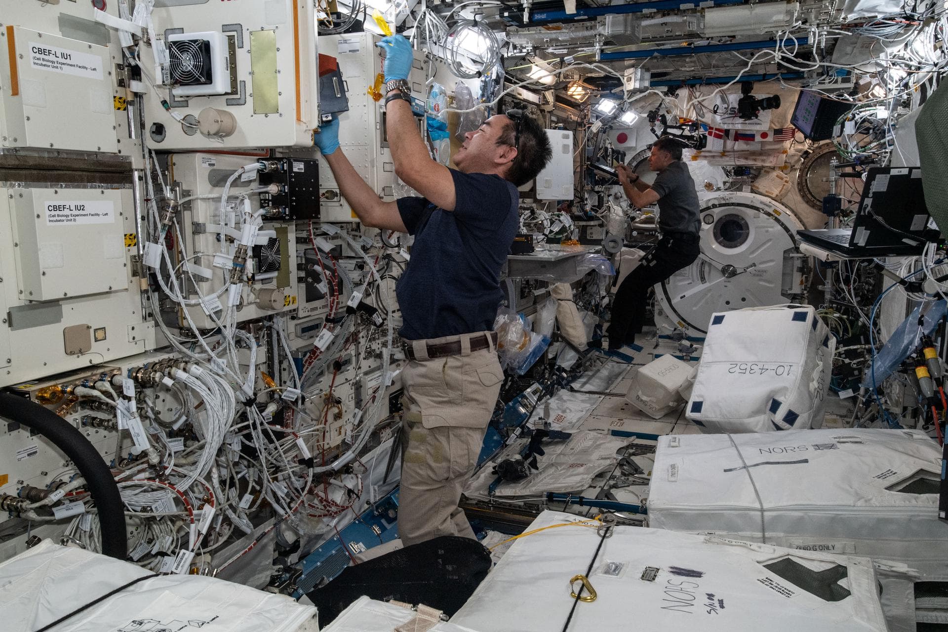 iss065e242201 (Aug. 13, 2021) --- Expedition 65 Commander Akihiko Hoshide of the Japan Aerospace Exploration Agency (JAXA) inserts cell samples into the Kibo laboratory module's Cell Biology Experimen