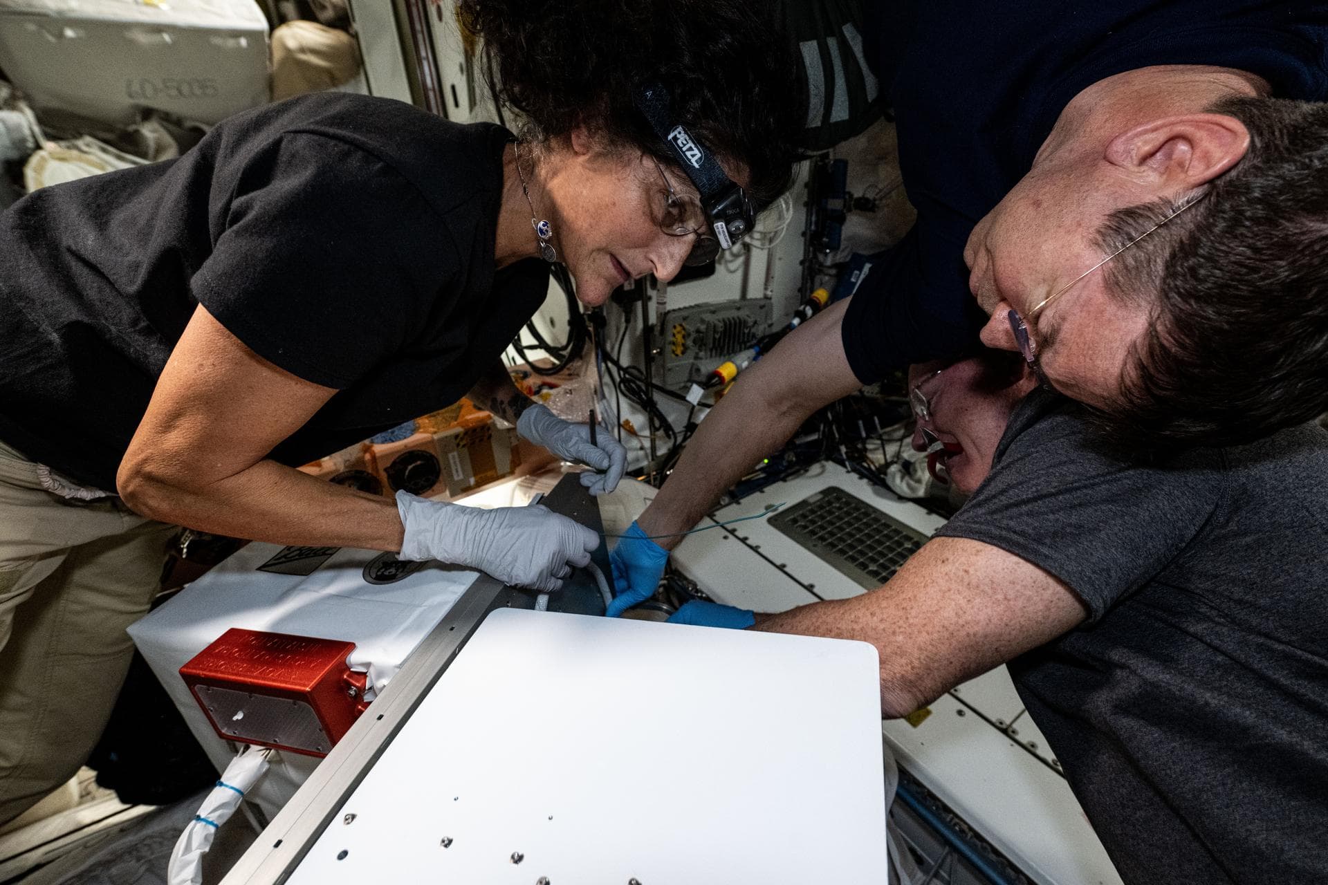 iss071e379502 (July 23, 2024) --- Clockwise from left, NASA astronauts Suni Williams, Mike Barratt, and Butch Wilmore work on lab maintenance tasks aboard the International Space Station. Williams and