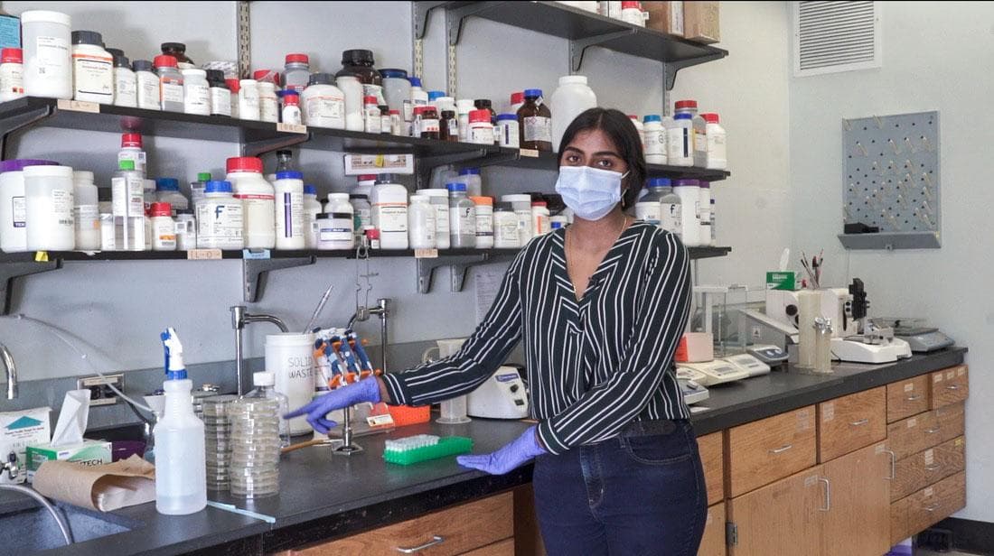 jsc2021e063278 (12/10/2021) --- Preflight imagery for the Characterizing Antibiotic Resistance in Microgravity Environments (CARMEn) experiment, part of Nanoracks Module-96. CARMEn observes how spacef