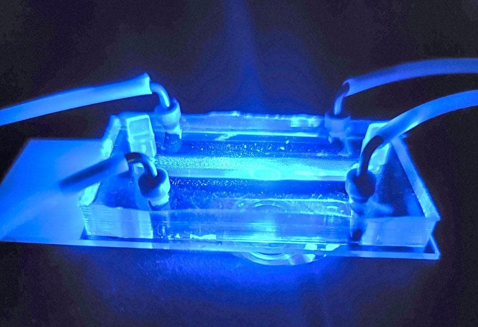 jsc2024e005964 (11/6/2023) --- A preflight image of the Janus base nano-matrix (JBNm) enabled cartilage tissue chip. The Compartment Cartilage Tissue Construct investigation uses biological materials 