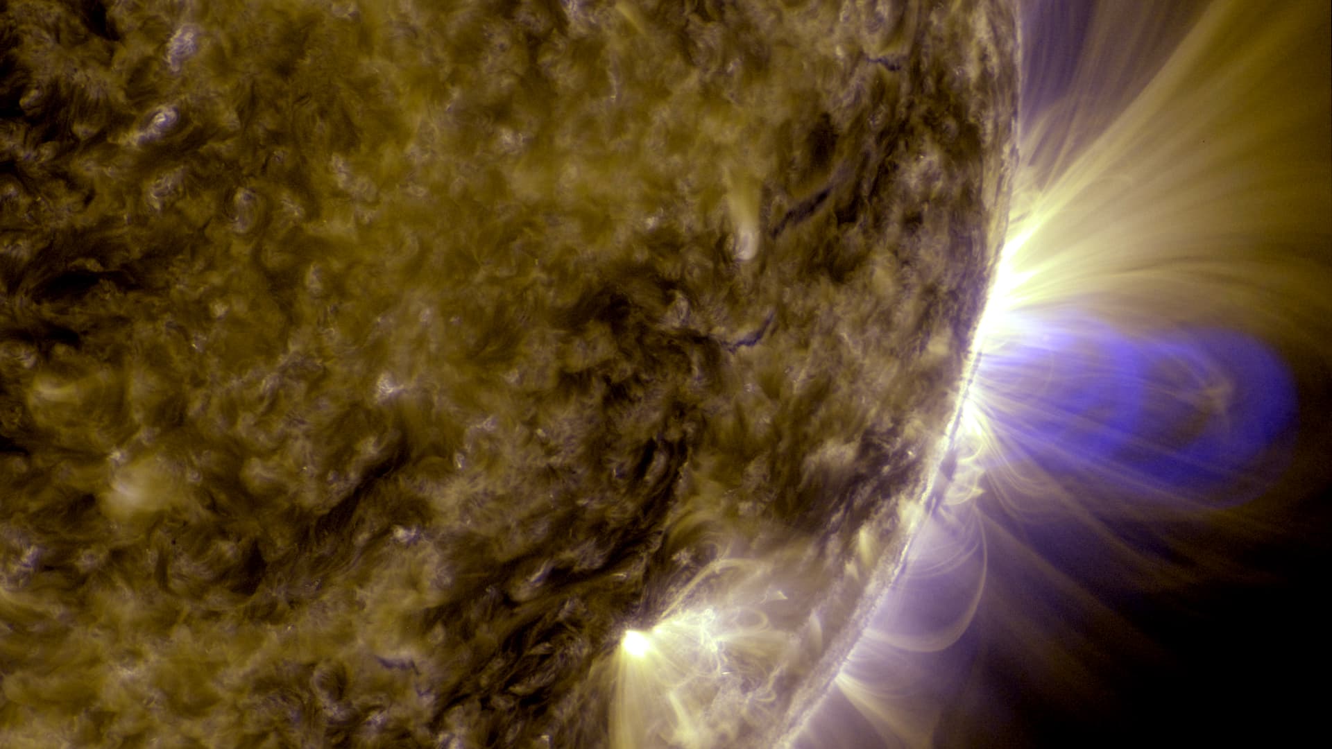 Caption: This is an image of magnetic loops on the sun, captured by NASA's Solar Dynamics Observatory (SDO). It has been processed to highlight the edges of each loop to make the structure more clear