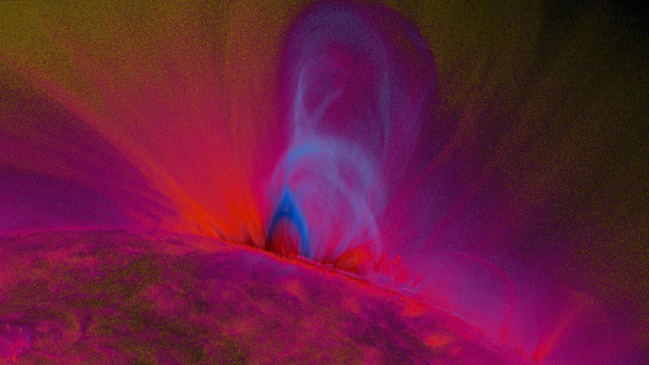 Caption: This is an image of magnetic loops on the sun, captured by NASA's Solar Dynamics Observatory (SDO). It has been processed to highlight the edges of each loop to make the structure more clear