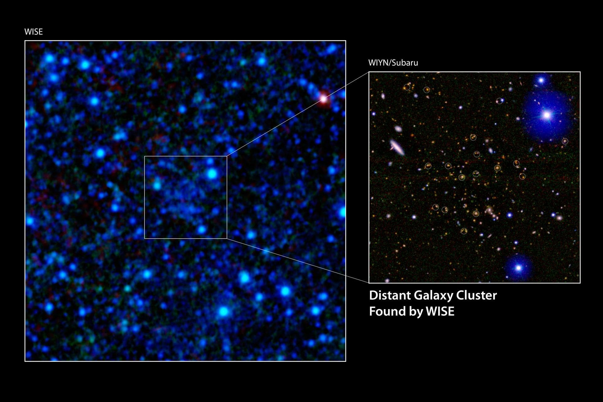 A galaxy cluster 7.7 billion light-years away has been discovered using infrared data from NASA Wide-field Infrared Survey Explorer WISE. The discovery image is shown in the main panel.
