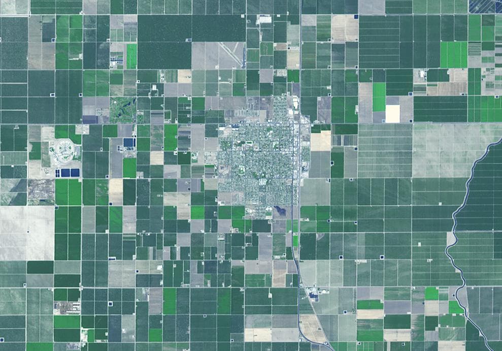 Wasco, California advertises itself as the Rose Capital of the World; over 8000 acres are devoted to cultivation of existing and new varieties of roses, shipped to every state in the U.S. and all over
