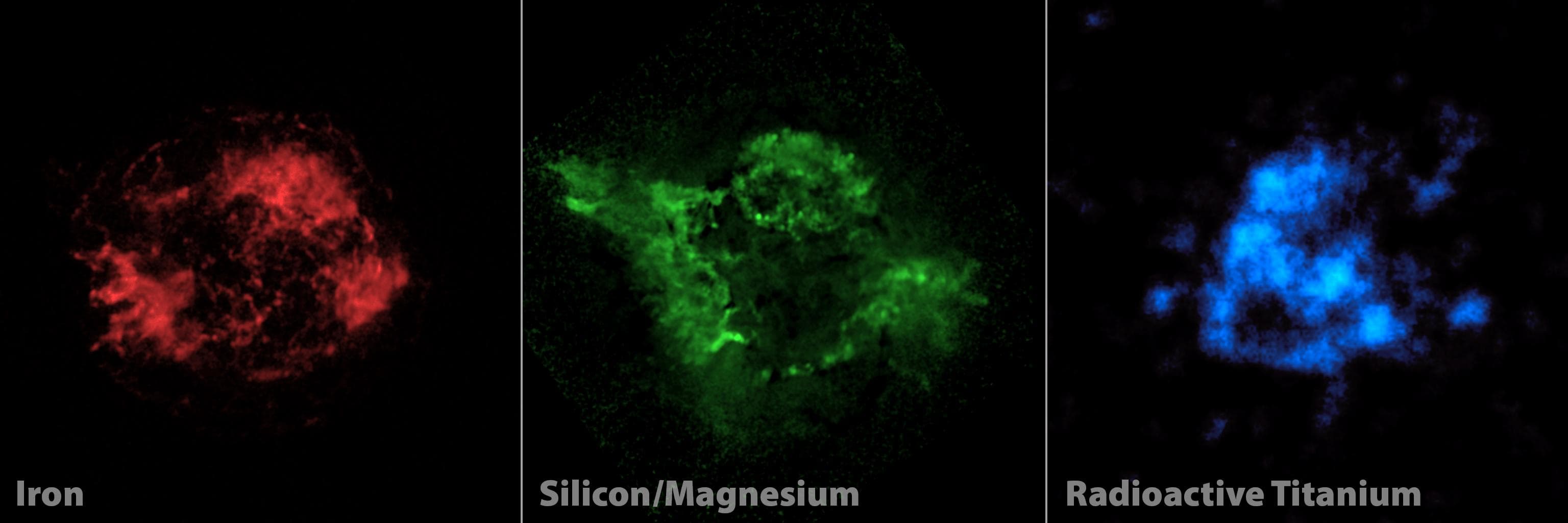 NASA NuSTAR is complementing previous observations of the Cassiopeia A supernova remnant red and green by providing the first maps of radioactive material forged in the fiery explosion blue.
