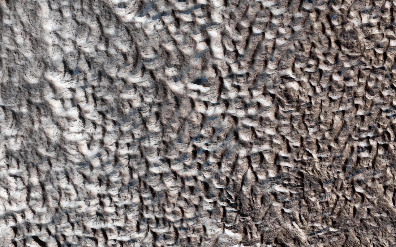 You are staring at one of the unsolved mysteries on Mars. This surface texture of interconnected ridges and troughs, referred to as "brain terrain" is found throughout the mid-latitude regions of Mars