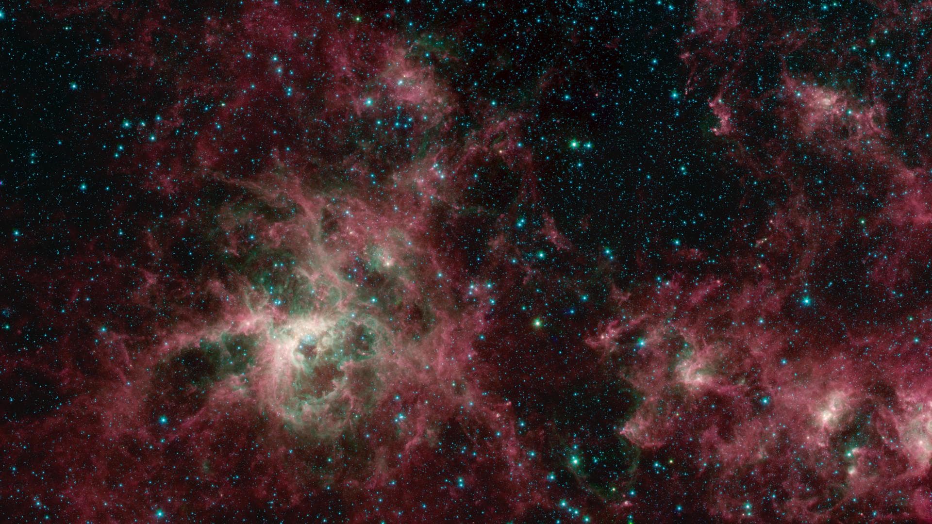 This image from NASA's Spitzer Space Telescope shows the Tarantula Nebula in three wavelengths of infrared light, each represented by a different color. The magenta-colored regions are dust composed o
