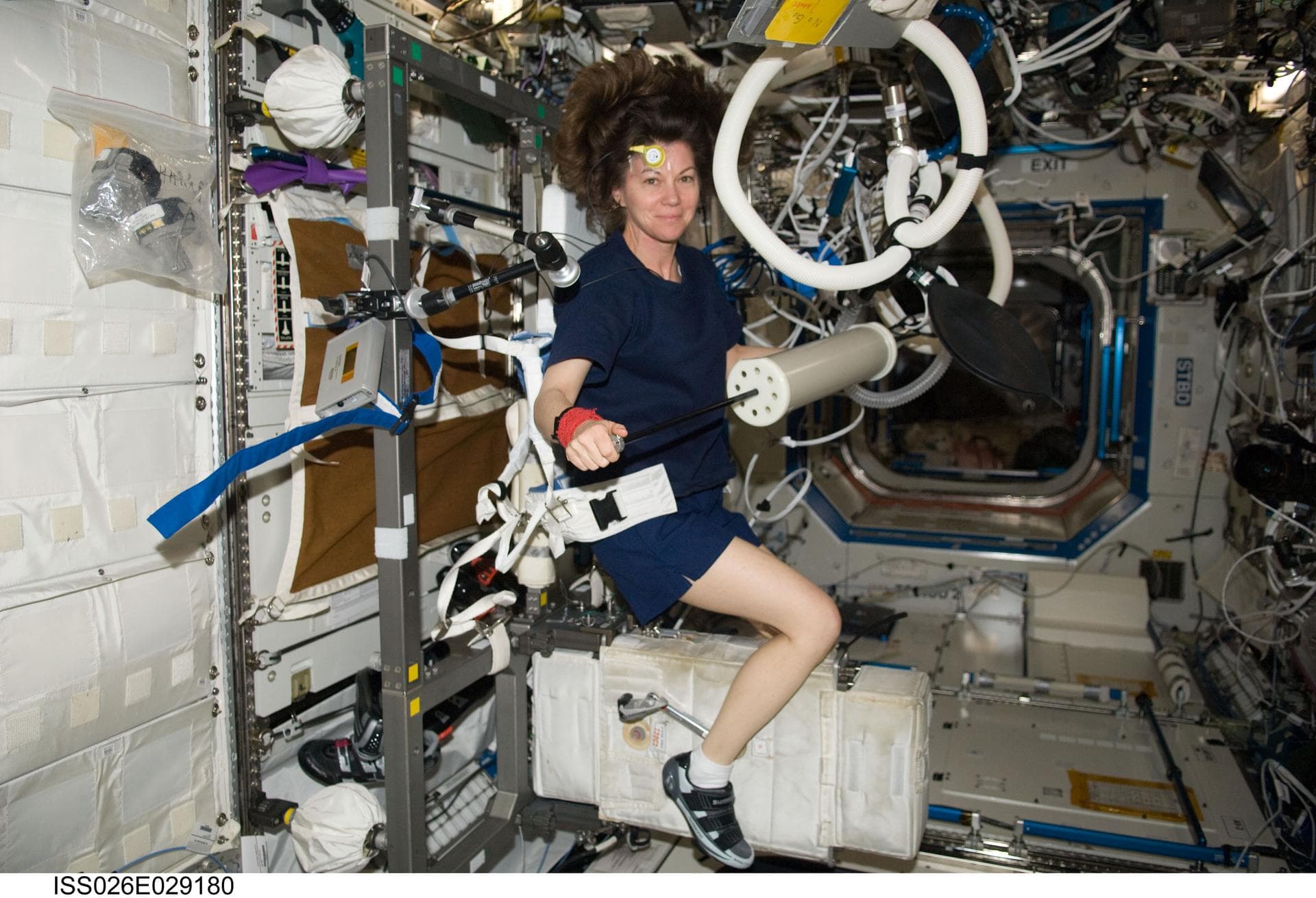ISS026-E-029180 (24 Feb. 2011) --- NASA astronaut Catherine (Cady) Coleman, Expedition 26 flight engineer, performs VO2max portable Pulmonary Function System (PFS) software calibrations and instrument