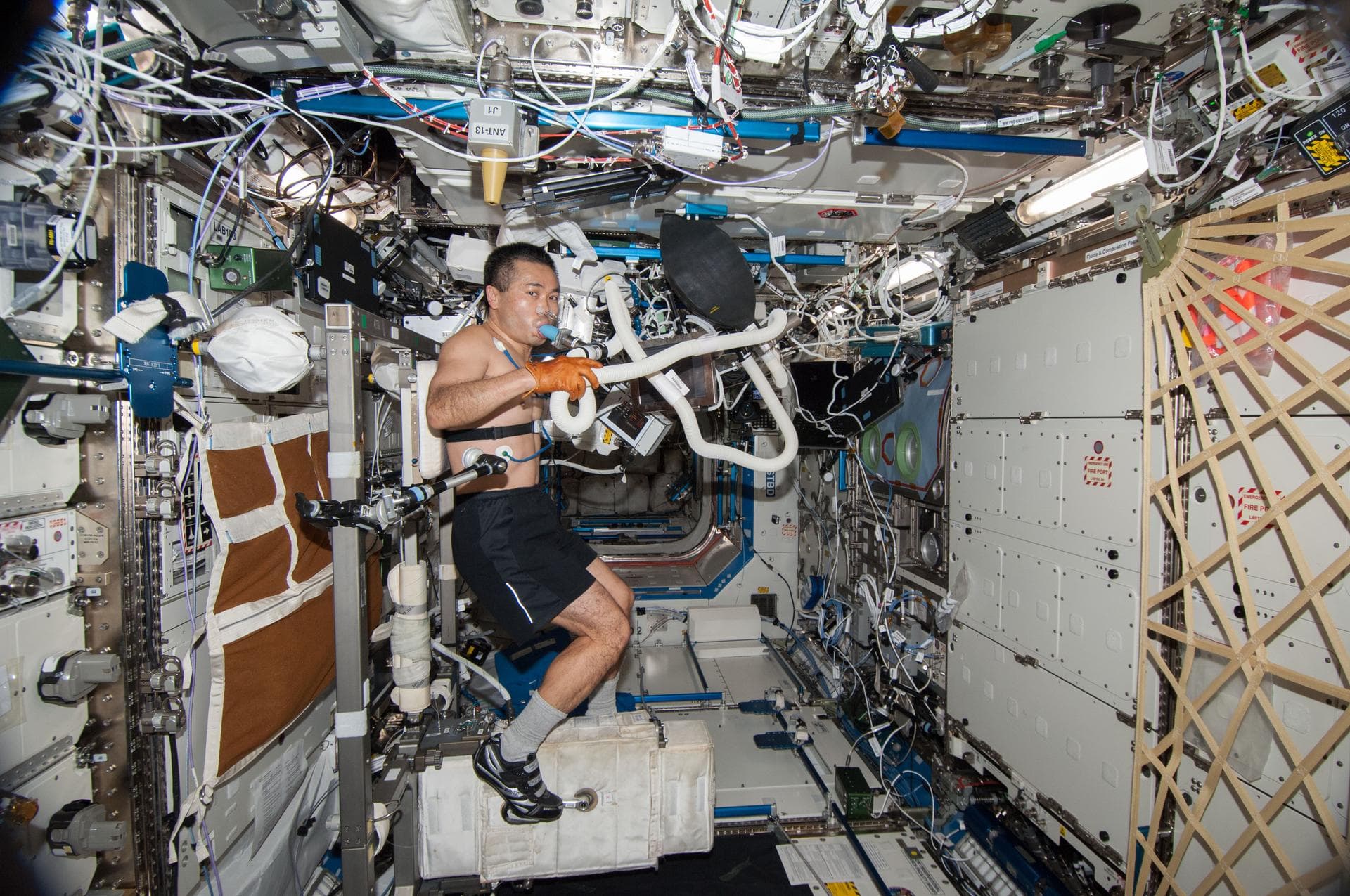 ISS038-E-009211 (26 Nov. 2013) --- Japan Aerospace Exploration Agency astronaut Koichi Wakata, Expedition 38 flight engineer, performs a VO2max session for the SPRINT investigation while using the Cyc
