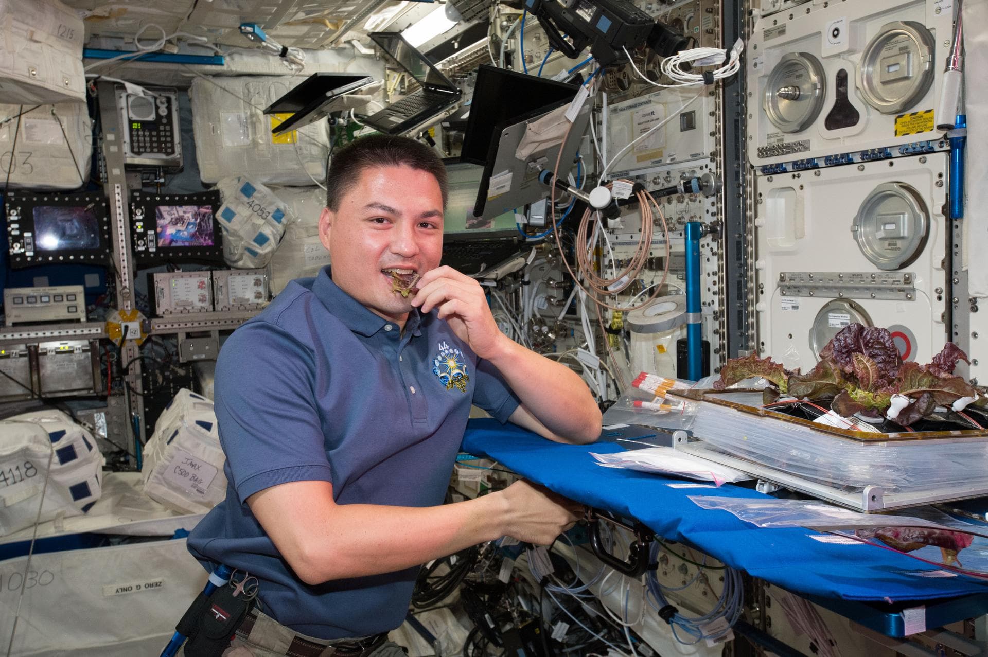 NASA Astronaut Kjell Lindgren takes a bite of plants harvested for the VEG-01 investigation. He harvested them on the Maintenance Work Area (MWA) in the Node 2/Harmony.