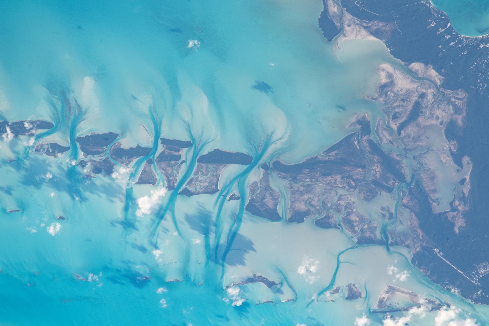iss069e033719 (July 17, 2023) -- (From left) Culmer's Cay, Glass Cay, Tommy Young's Cay, Davy Cay, Hog Cay, and Green Turtle Cay—islands off the mainland Great Abaco in the Bahamas— appear like jigsaw