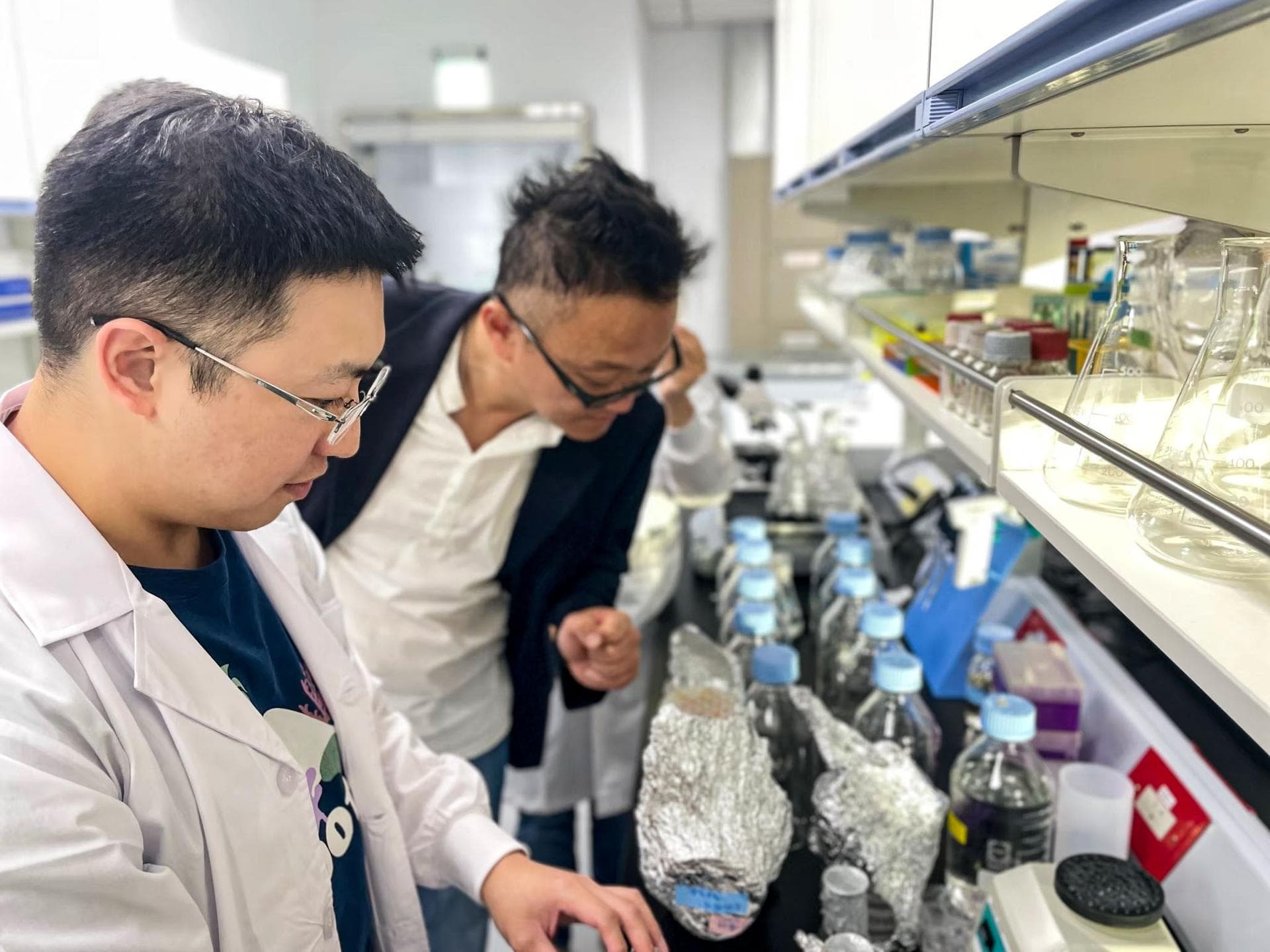 jsc2025e015700 (3/6/2025) --- The SOPHONSTER team assessing the growth of Chlorella sp. microalgae in a laboratory. The SOPHie’s ON hamSTER (SOPHONSTER) investigation aims to cultivate microalgae (Chl